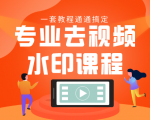 专业去视频水印教程 静态水印、动态水印、文字水印、图片水印一套教程通通搞定-阳知网创资源库