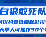 白狼敢死队最新抖音短视频批量起影视号(一天单人可操作30个号)视频课程-阳知网创资源库
