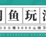 龟课·闲鱼项目玩法实战班第12期，操作10天左右利润有8000元细节玩法-阳知网创资源库