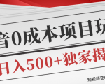 短视频变现套路剖析,抖音0成本赚钱项目玩法,日入500+独家揭秘(共2节视频)-阳知网创资源库