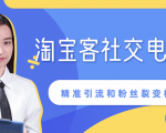 某站内部课程:淘宝客社交电商裂变,精准引流和粉丝裂变模式详解(共6节视频)-阳知网创资源库