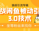 狼叔实战闲鱼被动引流3.0技术，无限上架玩法，免费送被动引流，高阶玩法实战总结-阳知网创资源库
