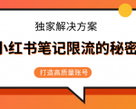 小红书笔记限流的秘密,被限流的笔记独家解决方案,打造高质量账号(共3节视频)-阳知网创资源库
