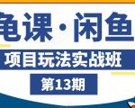 龟课·闲鱼项目玩法实战班第13期,轻松玩转闲鱼,多渠道多方法引流到私域流量池-阳知网创资源库