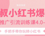 狼叔小红书爆款推广引流训练课4.0,手把手带你玩转小红书-阳知网创资源库