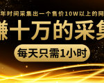 年赚十万的采集站,每天却只需要1小时,一年时间采集出一个售价10W以上的网站-阳知网创资源库