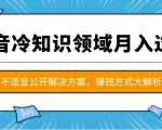 抖音冷知识领域月入过万项目,不适宜公开解决方案 ,抖音赚钱方式大解析!-阳知网创资源库