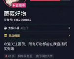 爆抖联盟蔷薇好物连怼100技术，一天连怼上百个视频，单场直播平均带货30万玩法-阳知网创资源库
