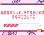 抖音直播间风火轮,暴力微信引流技术,低成本日加上千法-阳知网创资源库