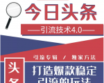 今日头条引流技术4.0,微头条实战细节,微头条引流核心技巧分析,快速发布引流玩法-阳知网创资源库