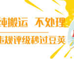抖音纯搬运 不处理 小技巧,30秒发一个作品,避免违规评级秒过豆荚-阳知网创资源库