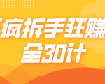 三疯拆手狂赚计,全30计课程-阳知网创资源库