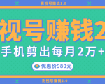 影视号赚钱项目2.0,无需电脑,一部手机剪出每月2W+收入-阳知网创资源库