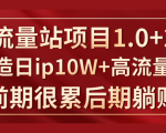 《大流量站项目1.0+2.0》打造日IP10W+高流量站,前期很累后期躺赚-阳知网创资源库