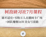 树敌研习社7月课程:破不适宜+零粉万人直播间卡广场+团队赚佣16W美女号套路-阳知网创资源库