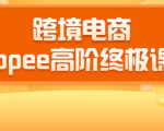 2020跨境电商蓝海新机会-SHOPEE大卖特训营:高阶终极课程(16节课)-阳知网创资源库