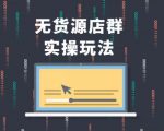 无货源店群实操玩法,蓝海选品的独特思路,店群软件操作方法(45节视频课)-阳知网创资源库
