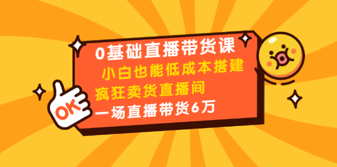0基础直播带货课：小白也能低成本搭建疯狂卖货直播间：1场直播带货6万-阳知网创资源库