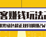 淘客赚钱玩法2.0,阳光绿色超正规项目,月躺赚2W+【视频课程】-阳知网创资源库