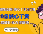 莫问江湖生态圈·核心干货第2期,20条核心干货,每一条都能让你直接赚钱-阳知网创资源库