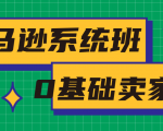 亚马逊系统班,专为0基础卖家量身打造,亚马逊运营流程与架构-阳知网创资源库