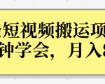 操作性非常强的头条号短视频搬运项目,3分钟学会,轻松月入8000+-阳知网创资源库