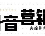 《12天线上抖音营销实操训练营》通过框架布局实现自动化引流变现-阳知网创资源库