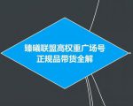 臻曦联盟抖音高权重广场号无人直播正规品带货全解-阳知网创资源库