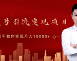 微信视频号运营变现课,带你玩转视频号实现月入10000+-阳知网创资源库