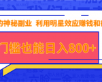 抖音上神秘副业项目，利用明星效应赚钱和截流，无门槛也能日入800+-阳知网创资源库