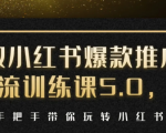 小红书爆款推广引流训练课5.0,手把手带你玩转小红书(17节实操视频+话术)-阳知网创资源库
