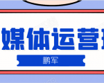 鹏哥自媒体运营班、宝妈兼职，也能月入2W，重磅推荐！【价值899元】-阳知网创资源库
