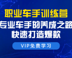 职业车手训练营:专业车手的养成之路,快速打造爆款(8节-无水印直播课)-阳知网创资源库
