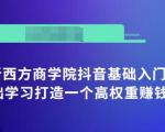 抖音基础入门班:小白0基础学习打造一个高权重赚钱的抖音号-阳知网创资源库