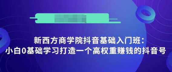 抖音基础入门班：小白0基础学习打造一个高权重赚钱的抖音号-阳知网创资源库