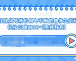 视频号新机制与不刷赞撸养生茶玩法,轻松日赚1000+-阳知网创资源库