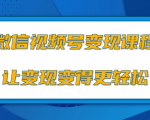 微信视频号变现项目,0粉丝冷启动项目和十三种变现方式-阳知网创资源库