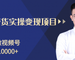 柚子分享课:微信视频号变现攻略,新手零基础轻松日赚千元-阳知网创资源库
