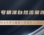 垂直起号精准自然流量连爆玩法,精准引流暴力变现月入10000+-阳知网创资源库