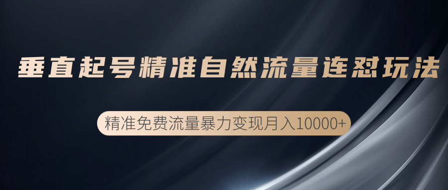 垂直起号精准自然流量连爆玩法,精准引流暴力变现月入10000+-阳知网创资源库