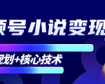 柚子微信视频号小说变现项目,全新玩法零基础也能月入10000+【核心技术】-阳知网创资源库