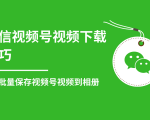 微信视频号视频下载技巧,轻松批量保存视频号等无水印视频到相册-阳知网创资源库