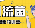 引流菌2020全网爆粉特训营(QQ群霸屏,知乎引流,群裂变,自动化引流等)-阳知网创资源库