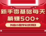 最新小白赚钱项目，零基础每天躺赚500+抖音小程序实战项目-阳知网创资源库