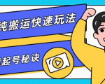 团队内部课程,短视频纯搬运快速玩法,批量快速起号的秘诀-阳知网创资源库