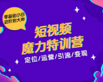 零基础小白进阶到大神《短视频魔力特训营》定位-运营-引流-变现-阳知网创资源库