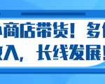 微信小商店带货,爆单多倍收入,长期复利循环!日赚300-800元不等-阳知网创资源库