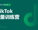2020最新TikTok流量增长训练营(完结)附PPT-阳知网创资源库