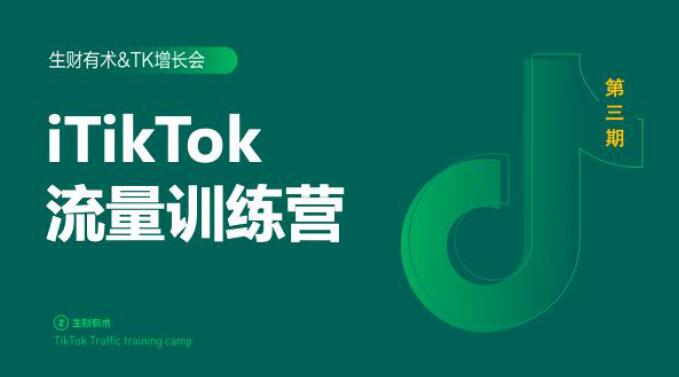 2020最新TikTok流量增长训练营(完结)附PPT-阳知网创资源库
