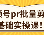 视频号PR批量剪辑0基础实操课,PR批量处理伪原创一分钟一个视频【共2节】-阳知网创资源库